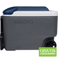 Igloo Maxcold 40R