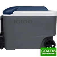 Bekijk de deal van Coolblue.nl 1: Igloo Maxcold 40R