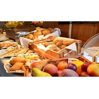 Sauerland Alpin Hotel