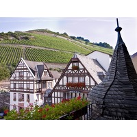 Bekijk de deal van ZoWeg.nl: 3 dagen Duitse Rijn