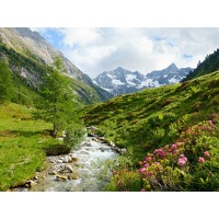 All-inclusive in de Tiroolse parel Igls