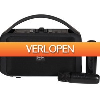 DealDonkey.com 3: Brainz karaoke speaker XXL