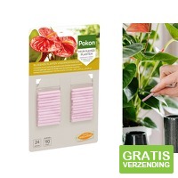 Pokon Bloeiende Planten Voedingsstaafjes - 24st - Plantenvoeding - Meststofstaafjes