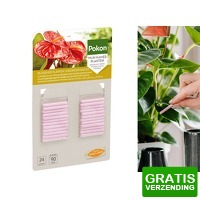 Bekijk de deal van DealDonkey.com 2: Pokon Bloeiende Planten Voedingsstaafjes - 24st - Plantenvoeding - Meststofstaafjes