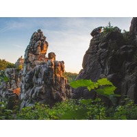 Bekijk de deal van Traveldeal.nl: FLASHDEAL!  Verblijf 3, 4, 5 of 6 dagen in de bossen van het Teutoburgerwoud o.b.v. all-inclusive light