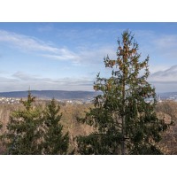 Bekijk de deal van ZoWeg.nl: 3 dagen Sauerland