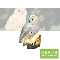 Solar LED Verlichte Uil - Zonne-energie