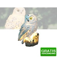 Bekijk de deal van DealDonkey.com 3: Solar LED Verlichte Uil - Zonne-energie