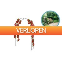 DealDonkey.com 2: Kinzo rozenboog