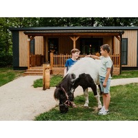 Bekijk de deal van Traveldeal.nl: Geniet van een paar dagen weg op Vakantiepark Dierenbos