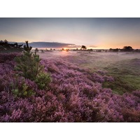 Bekijk de deal van ZoWeg.nl: 3 dagen Veluwe