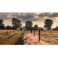 Bekijk de deal van Voordeeluitjes.nl: Hotel Bosrijk Ruighenrode