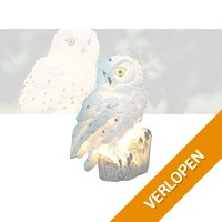 Solar LED verlichte uil