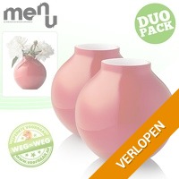 2 x Menu glazen vaas