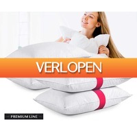 Voordeelvanger.nl: 4 x hoofdkussens Premium Line
