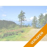 Ontsnap naar het natuurrijke Beierse Woud!