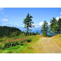 Traveldeal.nl: Ontsnap naar het natuurrijke Beierse Woud!