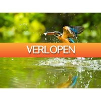 ZoWeg.nl: 3 dagen Biesbosch
