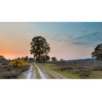 Bekijk de deal van Voordeeluitjes.nl 2: Hotel Landgoed Zonheuvel