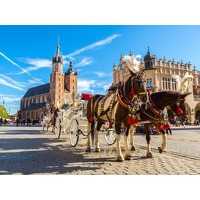 3, 4 of 5 dagen in het mooie Krakau