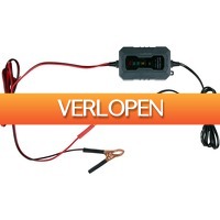 DealDonkey.com 3: Dunlop druppellader 6/12V 1 A