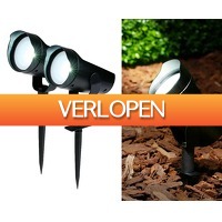 Voordeelvanger.nl 2: 2 x solar spotlight