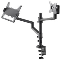 Deluxe monitor mount