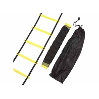 NordFalk Loopladder - 6 meter - incl. Draagtas