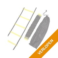 NordFalk loopladder