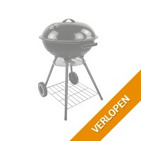 Alpina houtskool BBQ