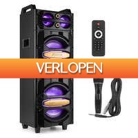 MaxiAxi.com: Fenton LIVE2102 party speaker