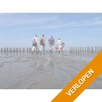 Geniet bij de Waddenzee in het Groningse Pieterburen