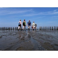 Bekijk de deal van Traveldeal.nl: Geniet bij de Waddenzee in het Groningse Pieterburen