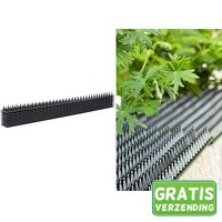 Top product