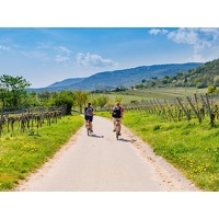 Traveldeal.nl: Ontdek de magie van de Eifel
