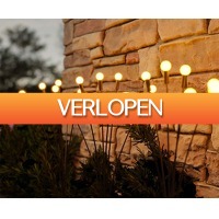 Voordeelvanger.nl 2: 2 x Solar tuinlamp windlicht