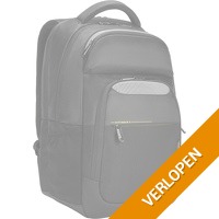 CityGear laptop backpack