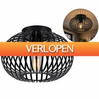 DealDonkey.com: XEMM Plafondlamp Industrieel - Metaal - zwart