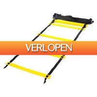 DealDonkey.com 2: Nordfalk speedladder