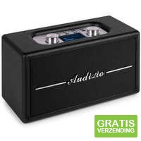 Audizio Tune60 Retro speaker
