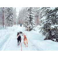 Traveldeal.nl: Klaar voor de mooiste winter van je leven... in Finland