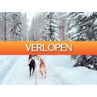 Traveldeal.nl: Klaar voor de mooiste winter van je leven... in Finland