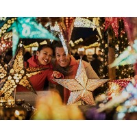 Beleef de kerstsfeer in Den Haag