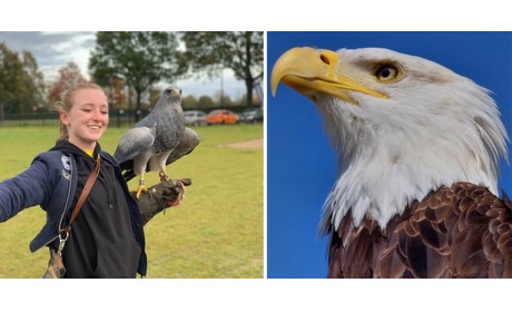 Wowdeal: Roofvogelworkshop bij Falconcrest