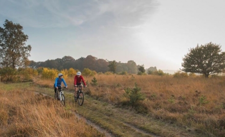 Voordeeluitjes.nl: Landal Sallandse Heuvelrug