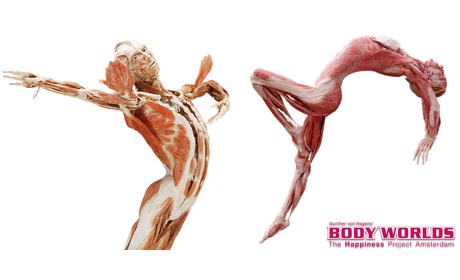 Wowdeal: Entreeticket voor Body Worlds Amsterdam